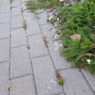 Szkło na ul. Konduktorskiej (2)