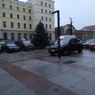 zdjęcie nr 7