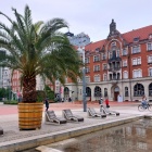 Palmy wróciły na katowicki Rynek (4)