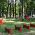 zdjęcie nr 11