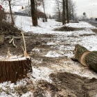 Wycinka drzew pod zbiornik retencyjny (8)