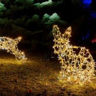 Ogród świateł w śląskim zoo (3)