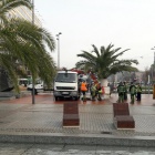 Transport palm (2)