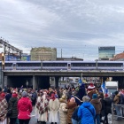 zdjęcie nr 12