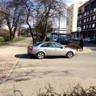 zdjęcie nr 12