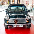 Wystawa MINI w Libero Katowice (5)