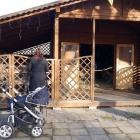 zywa-szopka-zoo-2