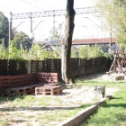 zdjęcie nr 11