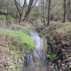 Sprzatanie Klodnicy5