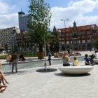 Weekend_palmy_rynek5