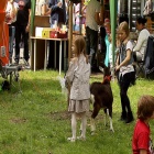 Park_Powstańców Śląskich
