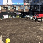 Sianie łąki Katowice. (4)