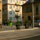 Zieleń na ul. Kościuszki 2 (2)