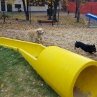 dog-park-katowice-3