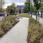 Zielony skwer w centrum Katowic (10)