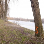Drzewa do wycinki Dolina Trzech Stawów