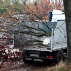 Przesadzanie drzew w Sosnowcu (2)