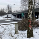 Wycinka drzew pod zbiornik retencyjny (3)