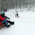 Sanki w Parku Kościuszki (7)