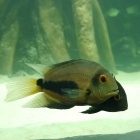 akwarium-zoo-8