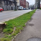 Droga rowerowa wzdłuż ul. Hallera (9)