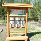 zdjęcie nr 32