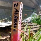 Fotka nr 2 z 14