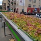 Zielone wiaty AMS (1)