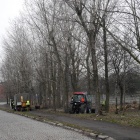 Wycinka drzew przy ul. Pośpiecha w Katowicach (7)