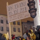 Protest w obronie dzików (7)