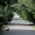 Plac Grunwaldzki