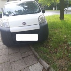 Parkowanie na trawnikach (9)
