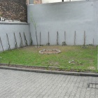 zdjęcie nr 7
