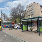 Zielony przystanek przy ul. Mickiewicza (3)