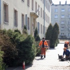 Domy studenckie dla uchodźców z Ukrainy (16)