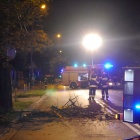 Wycinka ul.Francuska