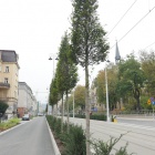 zdjęcie nr 10