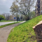 Droga rowerowa wzdłuż ul. Hallera (6)