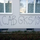 Dewastacja na ul. Wierzbowej, fot. KSM (2)