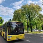 Kasztanowce wytypowane do wycinki na rogu al. Korfantego i ul. Karłowicza