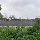 Fotka nr 5 z 8