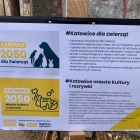 Porgram wyborczy Katowice 2050