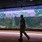 Nowe Egzotarium w Sosnowcu (16)