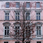 Buk na Dworcowej (4)