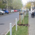 zdjęcie nr 5