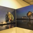 World Press Photo w Muzeum Śląskim (2)