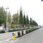 Warszawska w Katowicach po przebudowie (42)