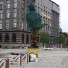 Palmy na rynku Katowice (2)