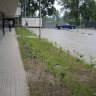 TBS Leopolda 17 Katowice (16)