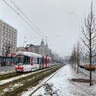 Naszadzenia przy al. Korfantego (3)